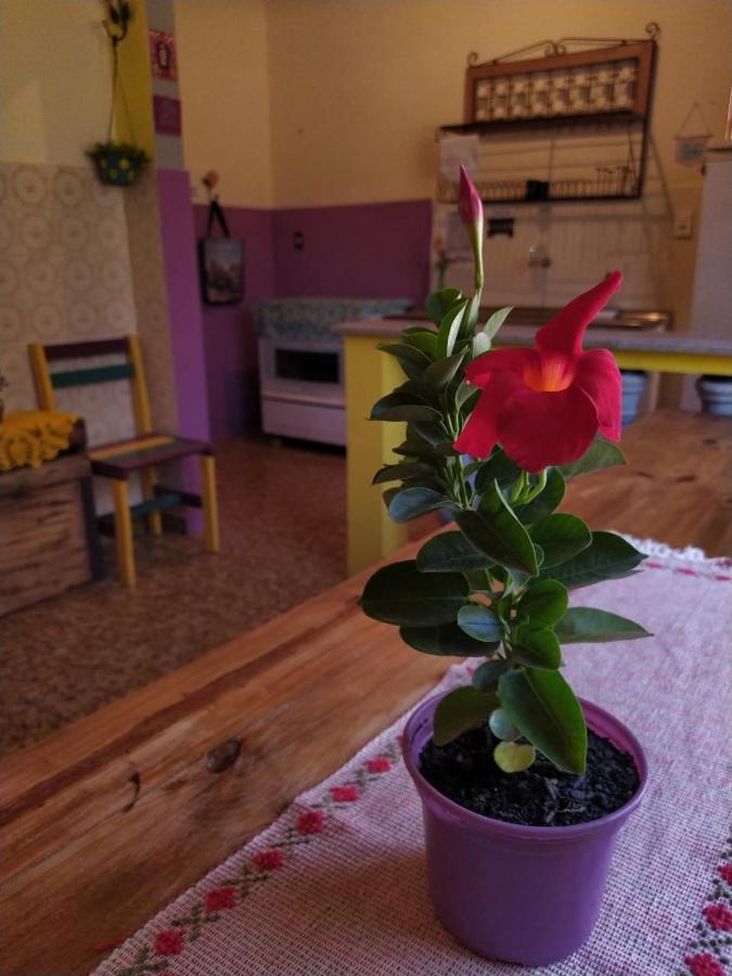 Hostel Tiradentes Kültér fotó