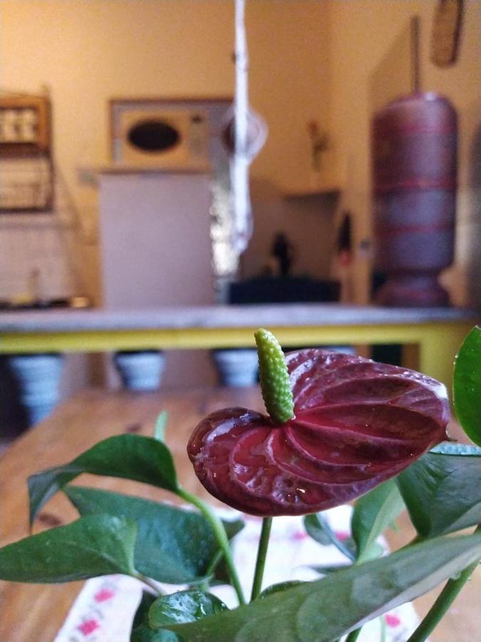 Hostel Tiradentes Kültér fotó